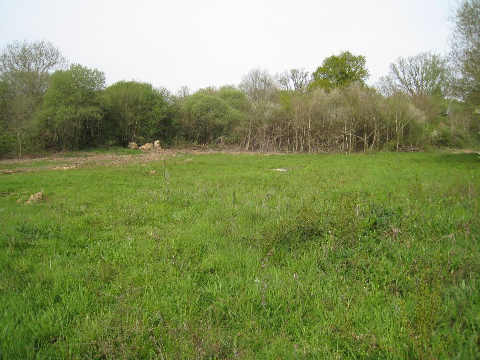 chaises d'implantation sur le terrain