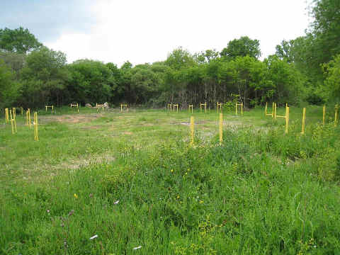 chaises d'implantation sur le terrain