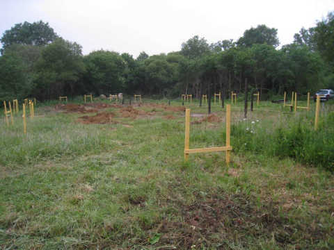 les pilotis en place sur le terrain