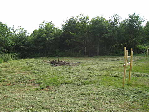 le terrain avant nettoyage