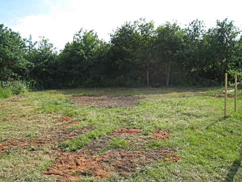 le terrain après nettoyage