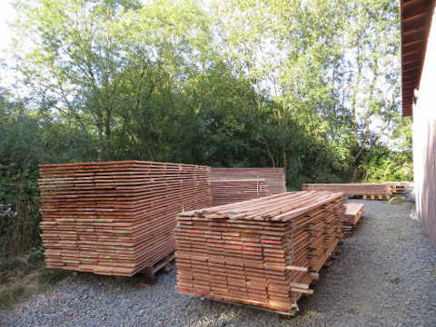 côté Nord de la maison, avec les palettes de lambris