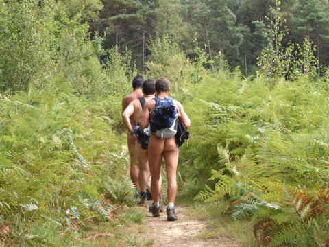 Randonneurs naturistes en forêt