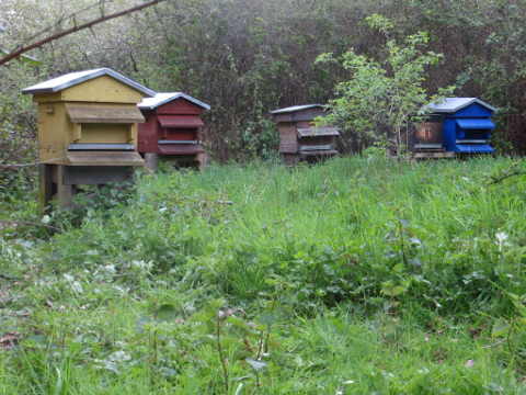 HOME RC 20160417 PG04 05822 x