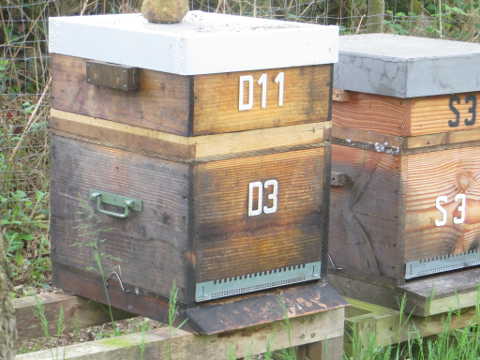 HOME RC 20160419 PG04 05981 x