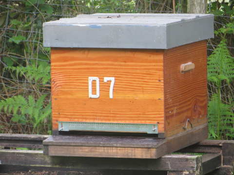 HOME RC 20160419 PG04 05982 x