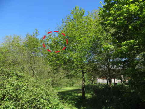 HOME RC 20160501 PG04 05882B x