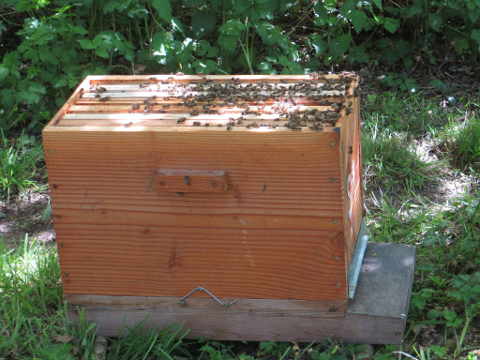 HOME RC 20160501 PG04 05885 x