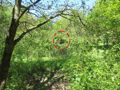 HOME RC 20160504A PG04 05898B x