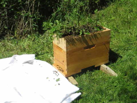 HOME RC 20160504A PG04 05910B x