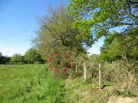 HOME RC 20160504B PG04 05915B x