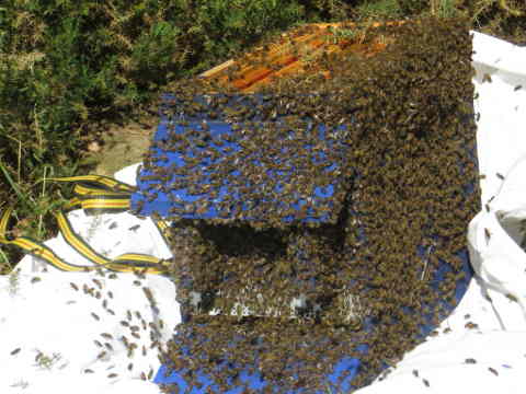 HOME RC 20160504B PG04 05923 x