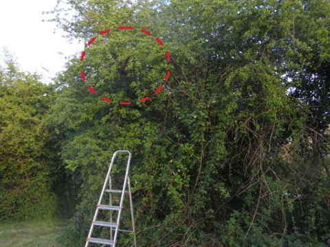 HOME RC 20160505 PG04 05932B x