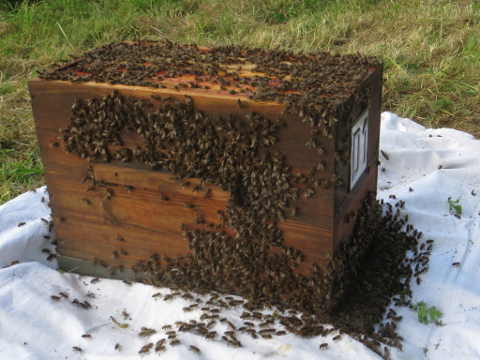 HOME RC 20160505 PG04 05939B x