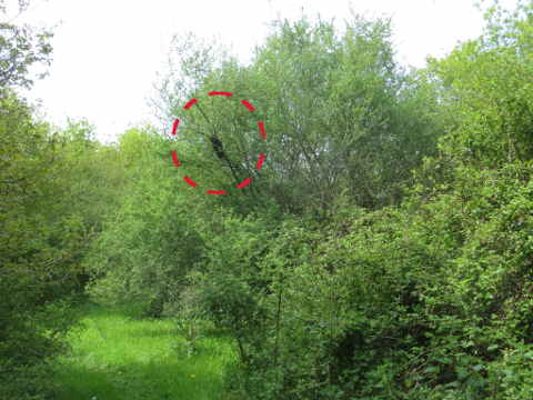 HOME RC 20160506A PG04 05942 x