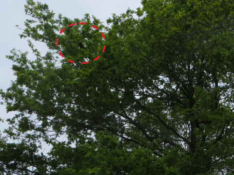 HOME RC 20160506B PG04 05955B x