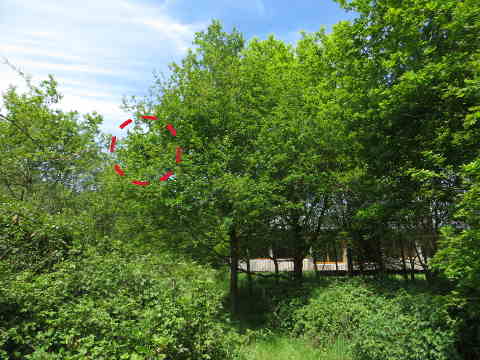 HOME RC 20160508 PG04 05968 x