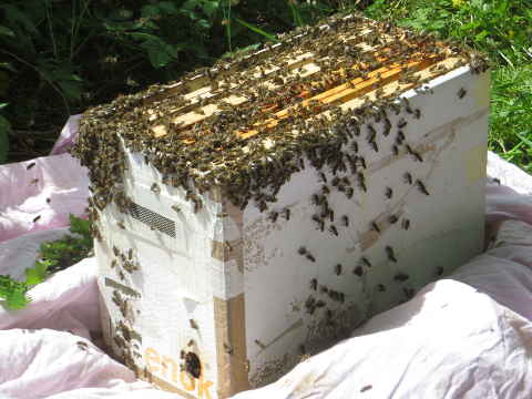 HOME RC 20160508 PG04 05972 x