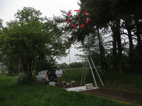 HOME RC 20160513 PG04 05984B x