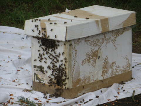 HOME RC 20160513 PG04 05986 x