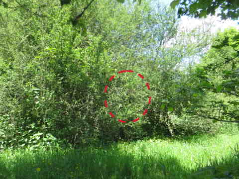 HOME RC 20160515 PG04 05987B x