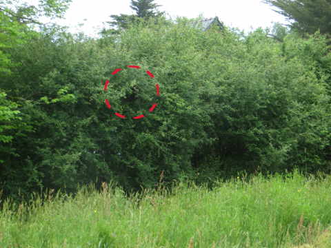 HOME RC 20160516A PG04 06002B x