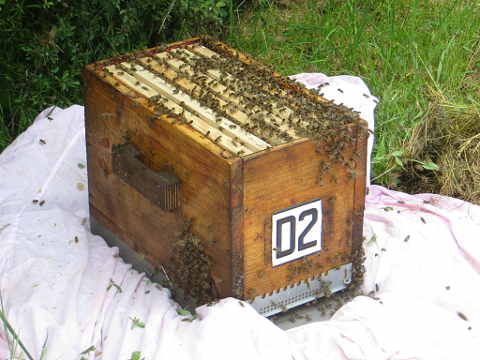 HOME RC 20160516A PG04 06005B x