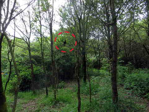 HOME RC 20160516B PG04 06009B x