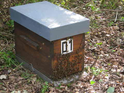 HOME RC 20160516B PG04 06036B x