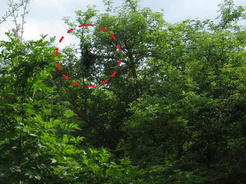 HOME RC 20160516C PG04 06031B x