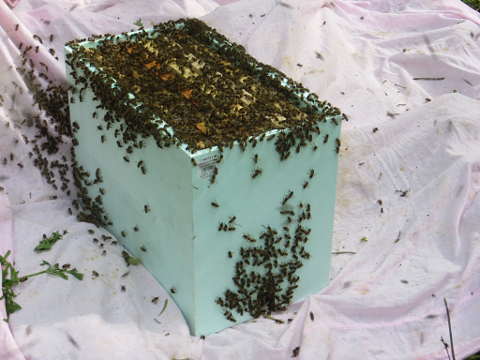 HOME RC 20160516C PG04 06034B x