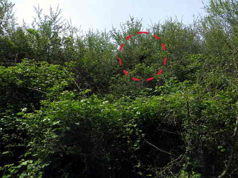 HOME RC 20160519A PG04 06040B x