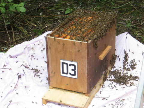 HOME RC 20160519A PG04 06051B x