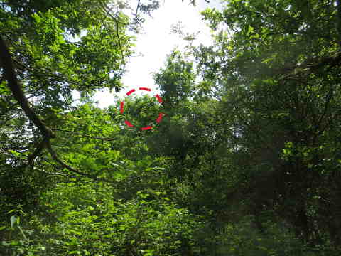 HOME RC 20160523 PG04 06066B x