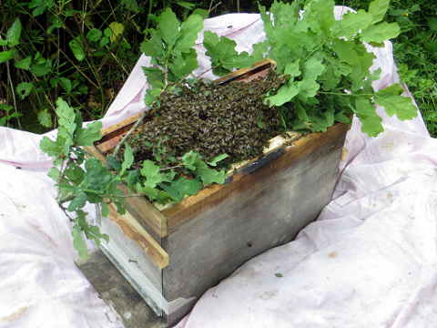 HOME RC 20160523 PG04 06070B x