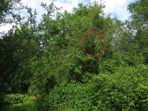 HOME RC 20160525B PG04 06107B x