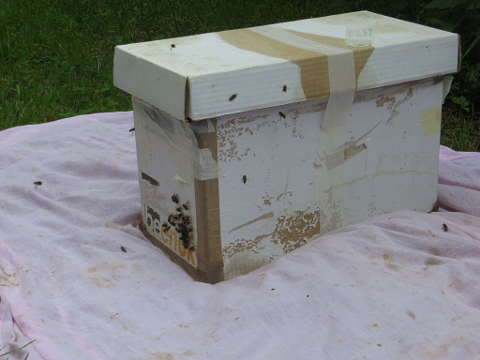 HOME RC 20160525B PG04 06120B x