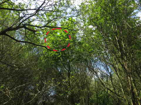 HOME RC 20160525B PG04 06140B x