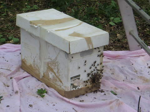 HOME RC 20160525B PG04 06145B x