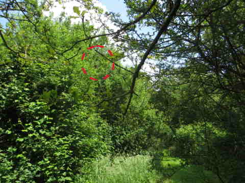 HOME RC 20160607 PG04 06160B x