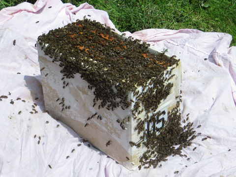 HOME RC 20160607 PG04 06170B x