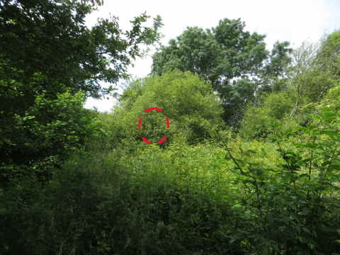 HOME RC 20160619B PG04 06200B x