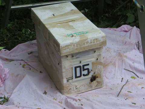 HOME RC 20160619B PG04 06211B x