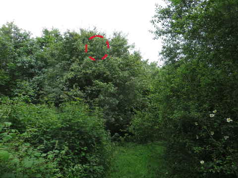 HOME RC 20160621 PG04 06212B x