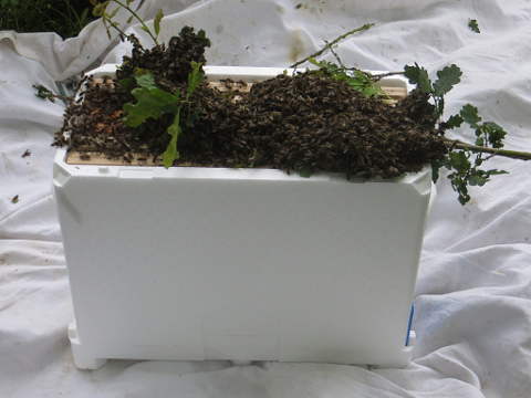 HOME RC 20160621 PG04 06219B x