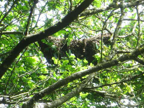 HOME RC 20170502 PG04 06686 x