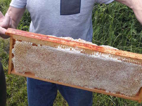 HOME RC 20170514 SB 20170513 162355B x