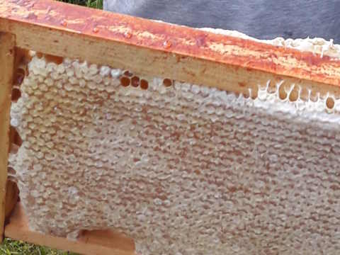 HOME RC 20170514 SB 20170513 162355C x