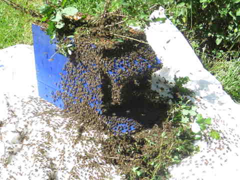 HOME RC 20170602 PG04 06749 x