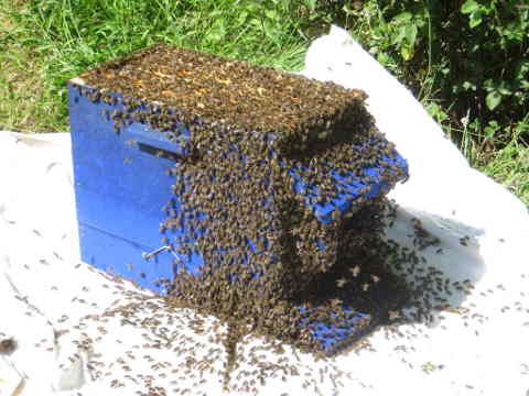 HOME RC 20170602 PG04 06751 x